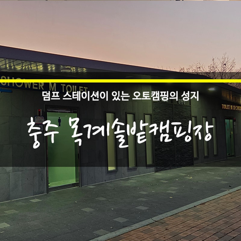 좋은 오토캠핑 성지 충주 목계솔밭캠핑장 대형사이트 명당 추천