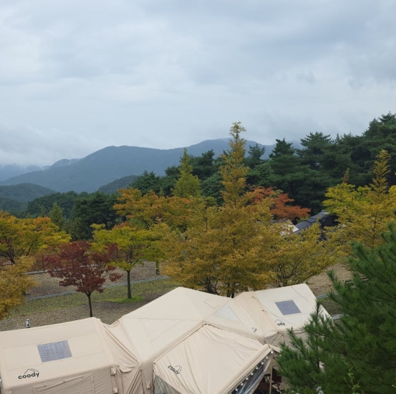 멋진 캠핑장 자리추천 시설설명 한티별빛아래관광농원 야영장