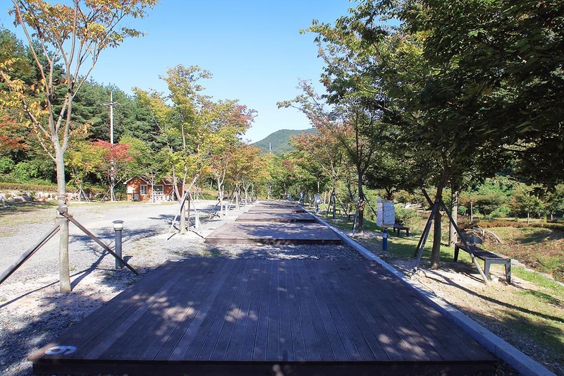 비학산자연휴양림 시설 사진 3