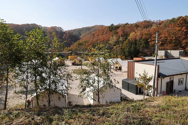 호랑이캠핑 대표 사진