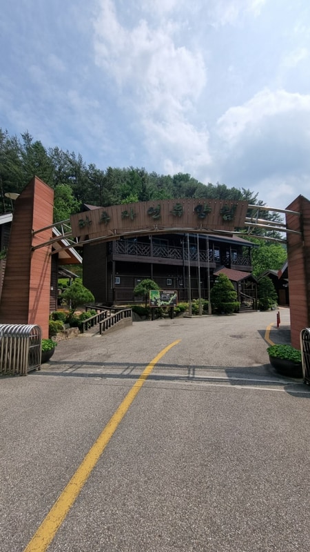 무인도 인제 2박 3일 "하추 자연휴양림 캠핑장" 여름 캠핑장...