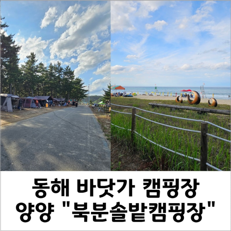 아이랑 7월, 강원도 양양 "북분솔밭캠핑장"