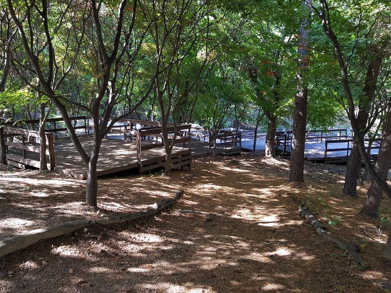 아프리카예술박물관 캠핑장 시설 사진 41