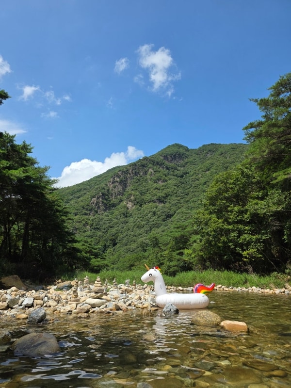 충남 괴산 쌍곡계곡 솔밭캠프 후기! 무더운 여름 맑은 계곡에서...
