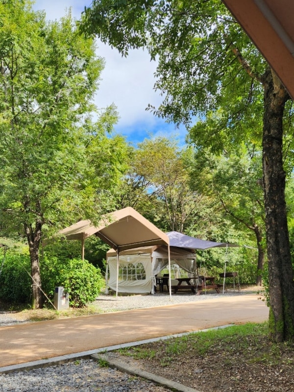 중랑가족캠핑장 8인 단체... (중랑숲 캠핑장 네이버예약, 매점...