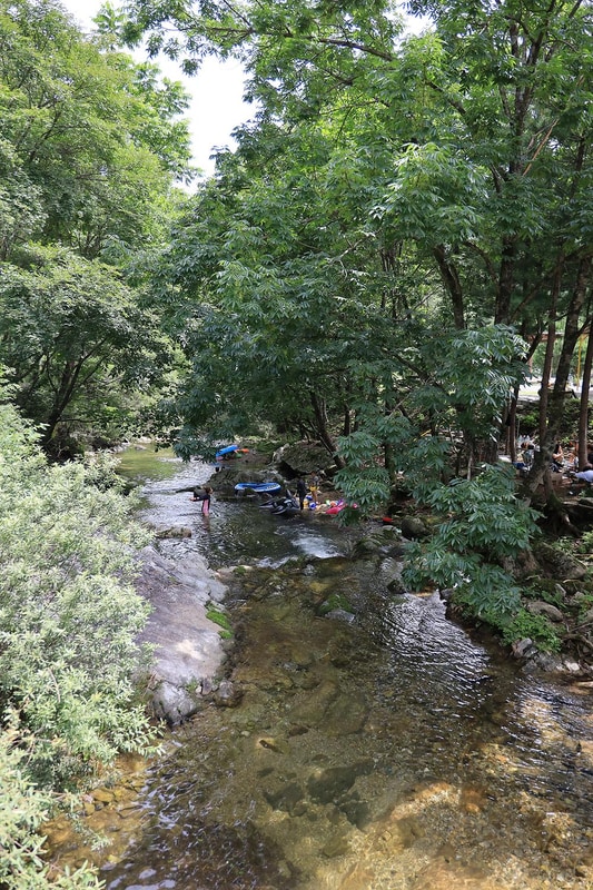 숲속의 작은집 시설 사진 13