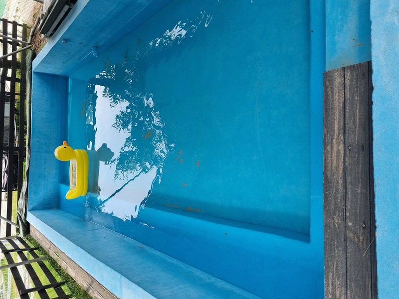 루파니애견캠핑장 시설 사진 6