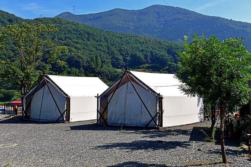 영학관광농원야영장 대표 사진