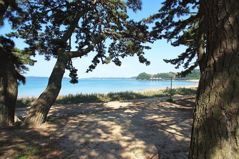 이태백 야영장 대표 사진