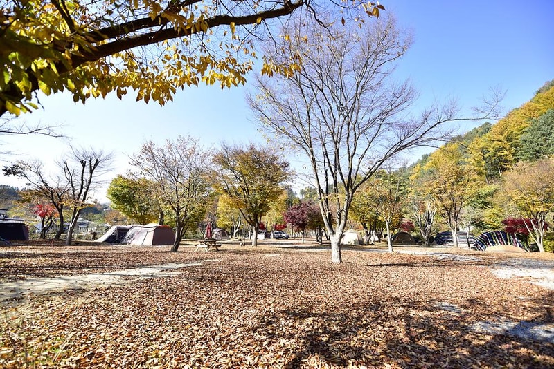 별빛오토캠핑장 시설 사진 5