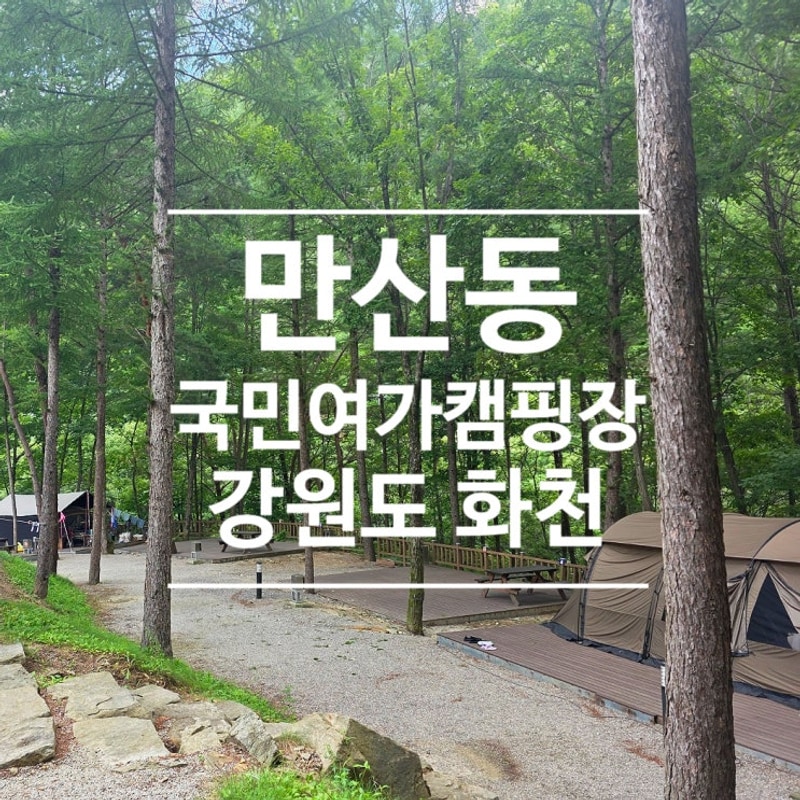 강원도 화천 만산동국민여가캠핑장-오지 계곡, 넓은 데크의...