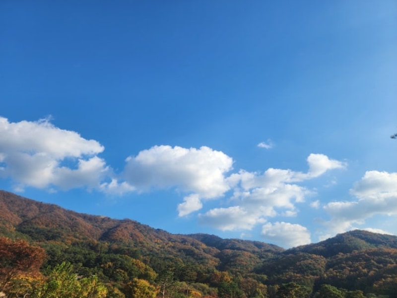 [캠핑] 이라고 쓰고 카라반이라 읽는 남자 셋 용인 미르힐...