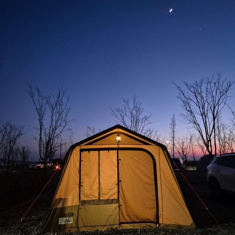 25. [경기 평택] 평택항 국민여가캠핑장 #E1 #파쇄석 #철새