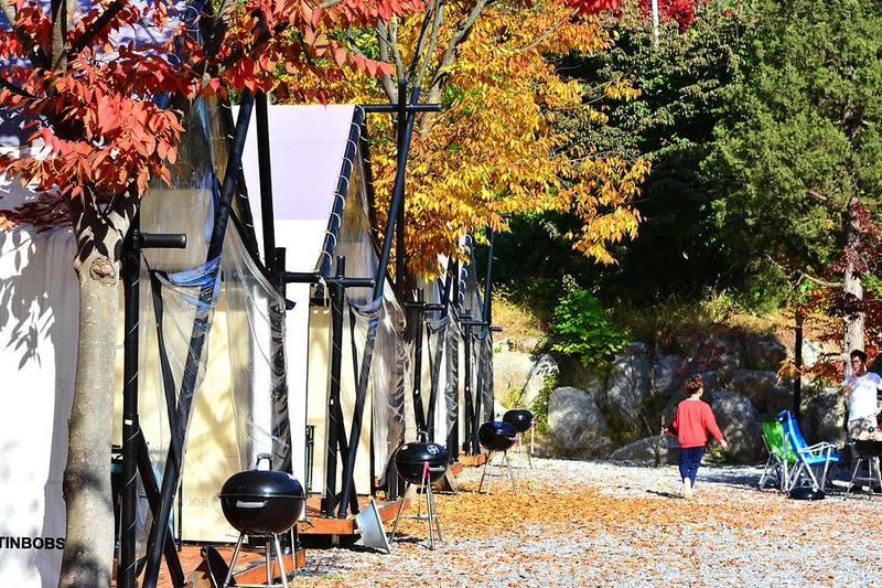 메이플트리글램핑 시설 사진 20