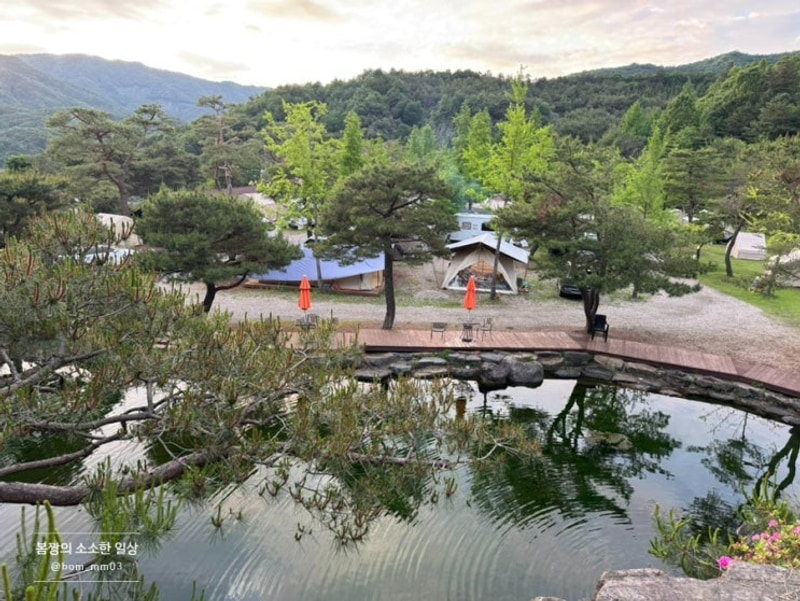 장박 캠핑으로 유명한 키즈, 애견 동반 캠핑장  양평 솔뜰캠핑장