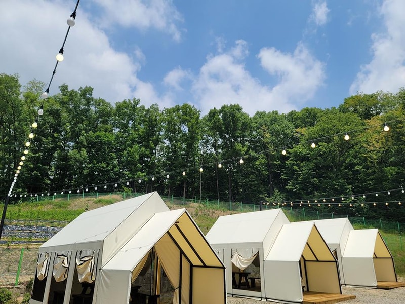 한코관광농원야영장 시설 사진 15