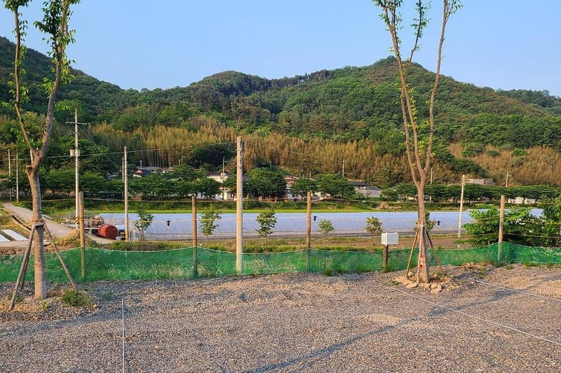 다시캠핑장위드펫 시설 사진 2