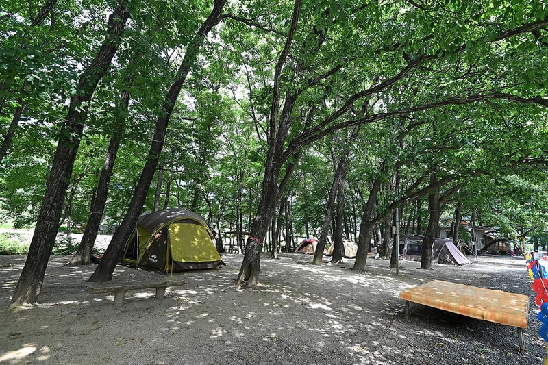 계림정야영장 시설 사진 6