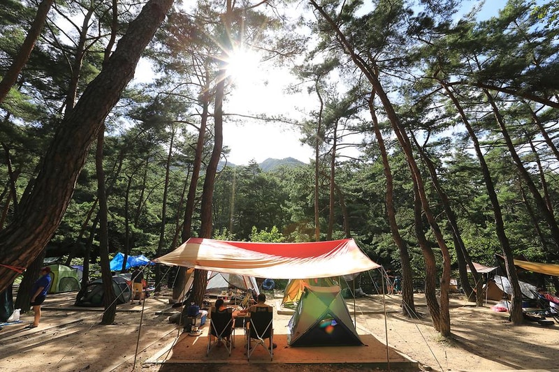 월악산국립공원 덕주야영장 시설 사진 17