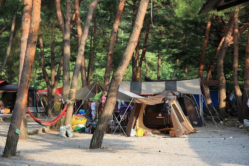 내리계곡 솔밭캠핑장 시설 사진 13