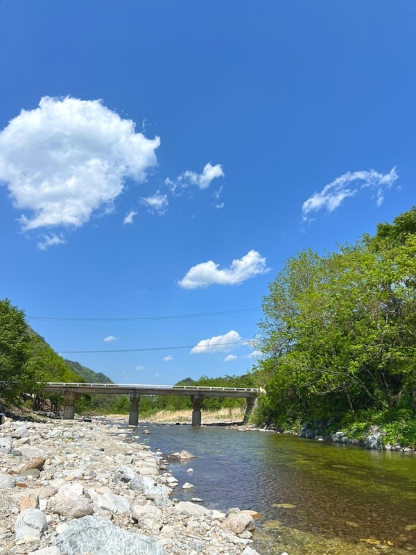 양양 골짜구니캠핑장 맑은 계곡과 시원한 그늘가득한 강원도...