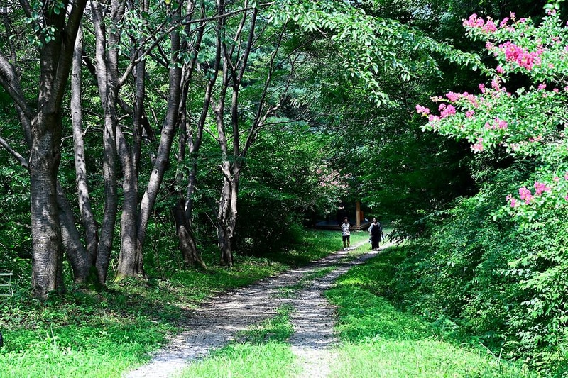 이숲e랜드 야영장 시설 사진 8