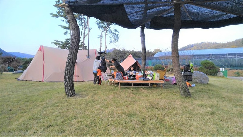 숲속의베리팜 시설 사진 8