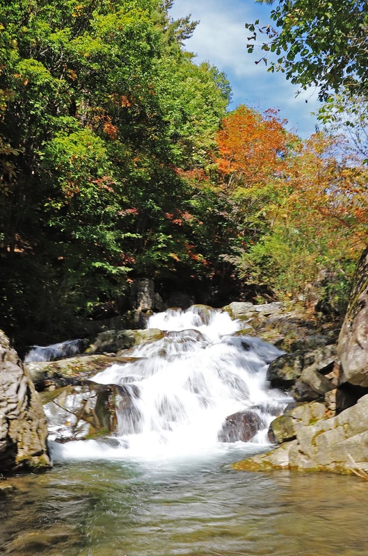 국립두타산자연휴양림 시설 사진 17