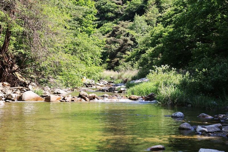 햇살글램핑 시설 사진 8