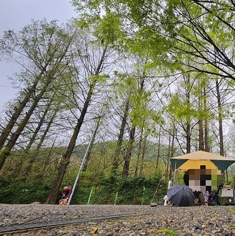 서울근교 오토캠핑추천 파주 기산캠프!마장호수 산책까지 힐링