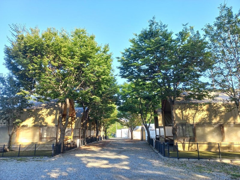하이몽글램핑&캠핑장 시설 사진 5