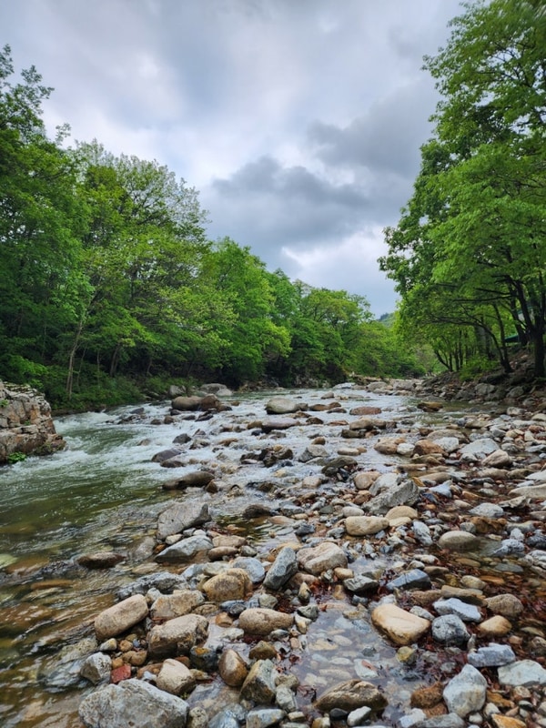 충북 물소리풍경 캠핑장 괴산 평상 대여 가능