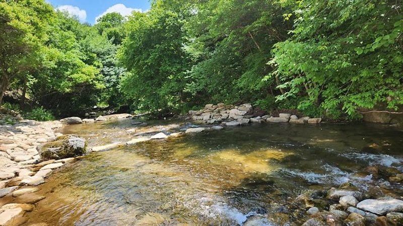 평창 별내림계곡캠핑장 대표 사진