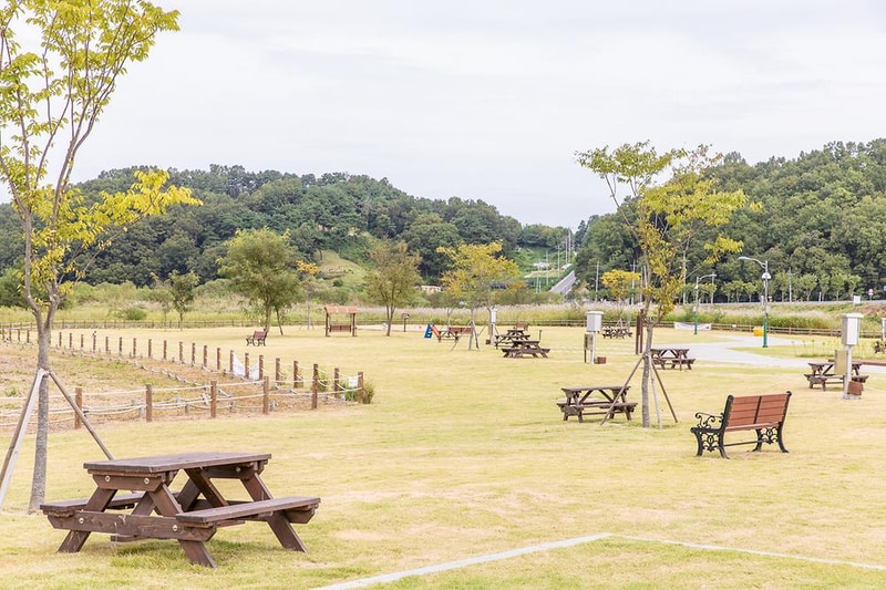 청주시 현도오토캠핑장 시설 사진 4