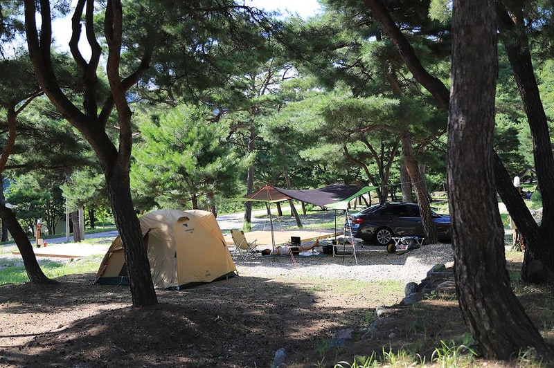 숲속의야영장 시설 사진 27