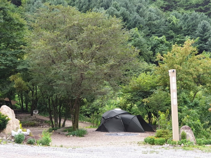 캠핑28 단양"우니메이카"캠핑장