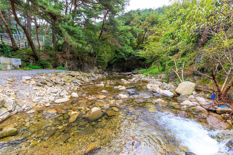 솔내음캠핑장 시설 사진 6