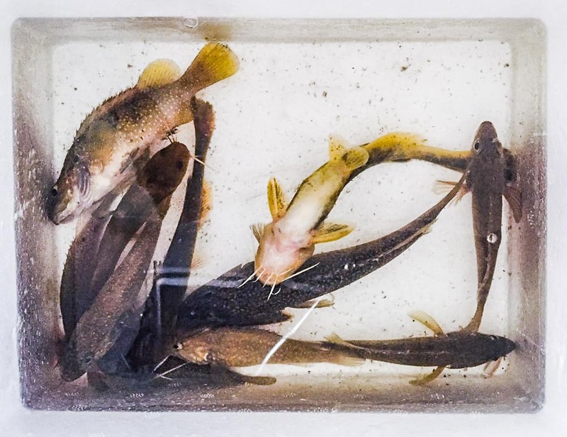 구름계곡캠핑장 시설 사진 28