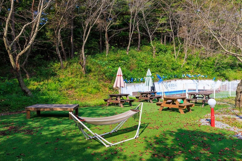 펫앤트리 시설 사진 5