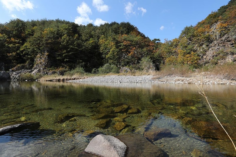 왕피천모래언덕 펜션/캠핑장 시설 사진 4