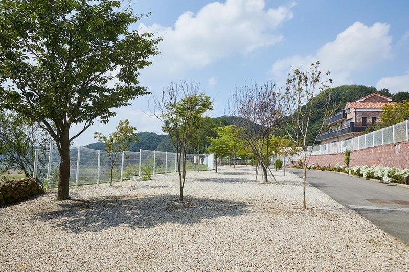 연천리버힐캠핑장 시설 사진 17