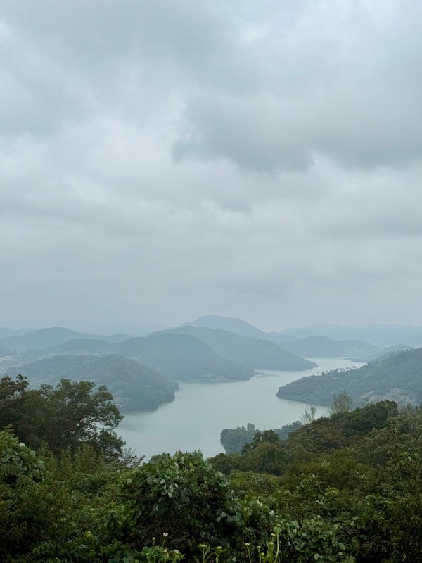 '정읍 로하스 캠핑장' 명당 D12 사이트 2박 3일 예약 후기