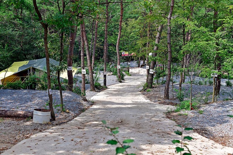 두레관광농원 아리솔캠핑장 시설 사진 9