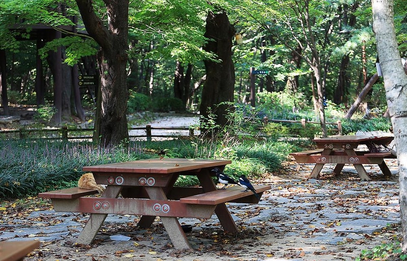 관악산 계곡 캠핑장 시설 사진 6