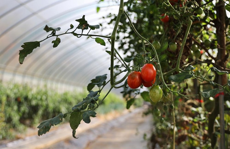가평랜드 캠핑&카라반 시설 사진 8