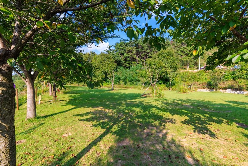 왕산골 관광농원 시설 사진 12