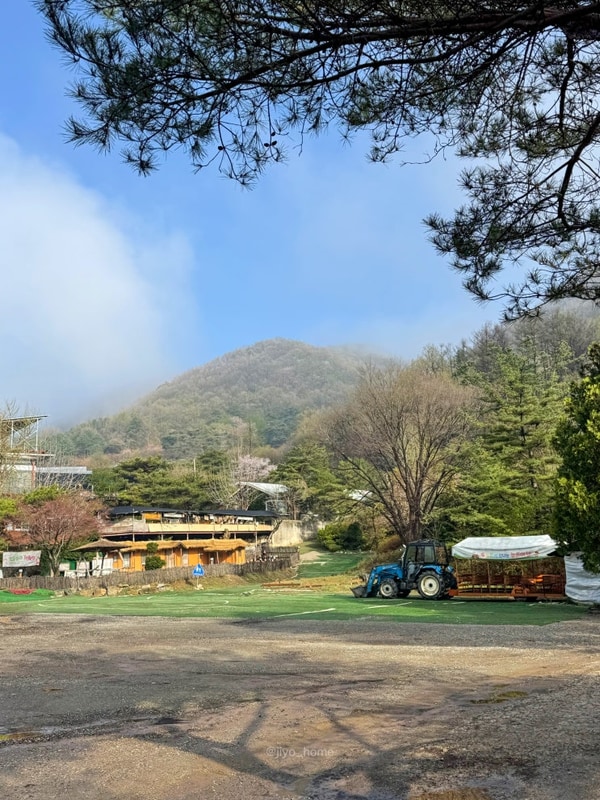 파주캠핑장 아이랑 서울 근교 두가족 사이트 후기 배나무꽃...