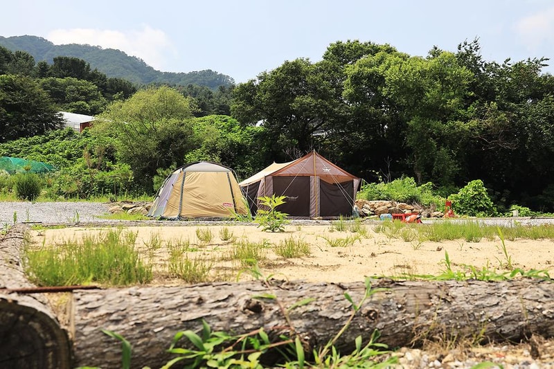 포레스트 캠핑장 시설 사진 3