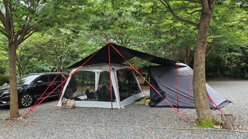 충북 제천[월악힐링캠핑장 : B2](8.8~10)