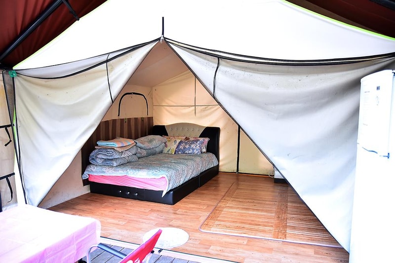 하얀숲 오토&글램핑 시설 사진 11